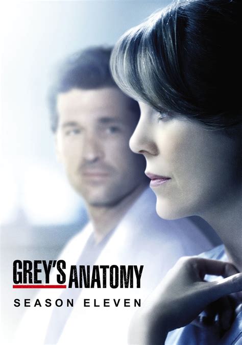 Grey's anatomy season 11. Things To Know About Grey's anatomy season 11. 